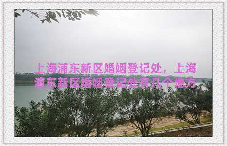上海浦东新区婚姻登记处，上海浦东新区婚姻登记处有几个地方