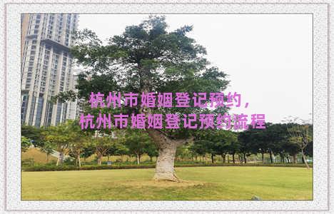 杭州市婚姻登记预约，杭州市婚姻登记预约流程